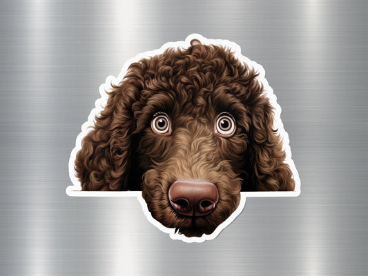 Chocolate Poodle Dog Sticker