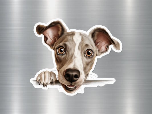 Greyhound Dog Sticker