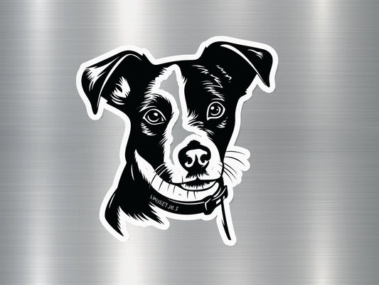 Jack Russell Terrier Dog Sticker