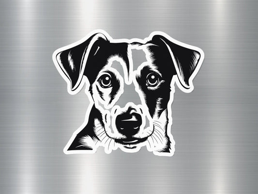 Russell Terrier Dog Sticker