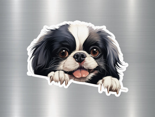 Cute Japanese Chin Charm Dog Sticker