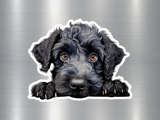 Portuguese Water Dog Sticker