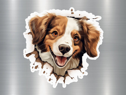 Miniature American Shepherd Dog Sticker