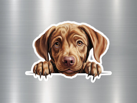 Sleepy Mastiff Dog Sticker