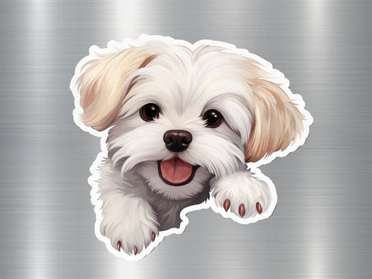 Maltese Magic Dog Sticker