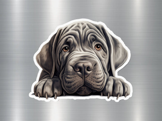 Neapolitan Mastiff Dog Sticker