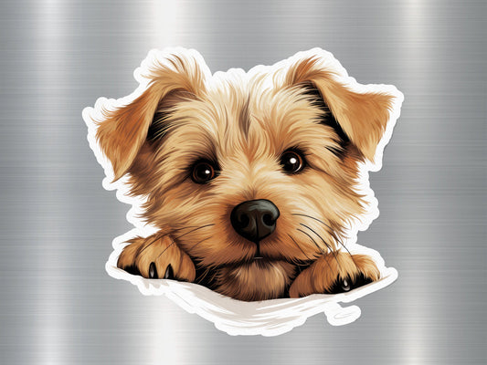 Norfolk Peek Dog Sticker