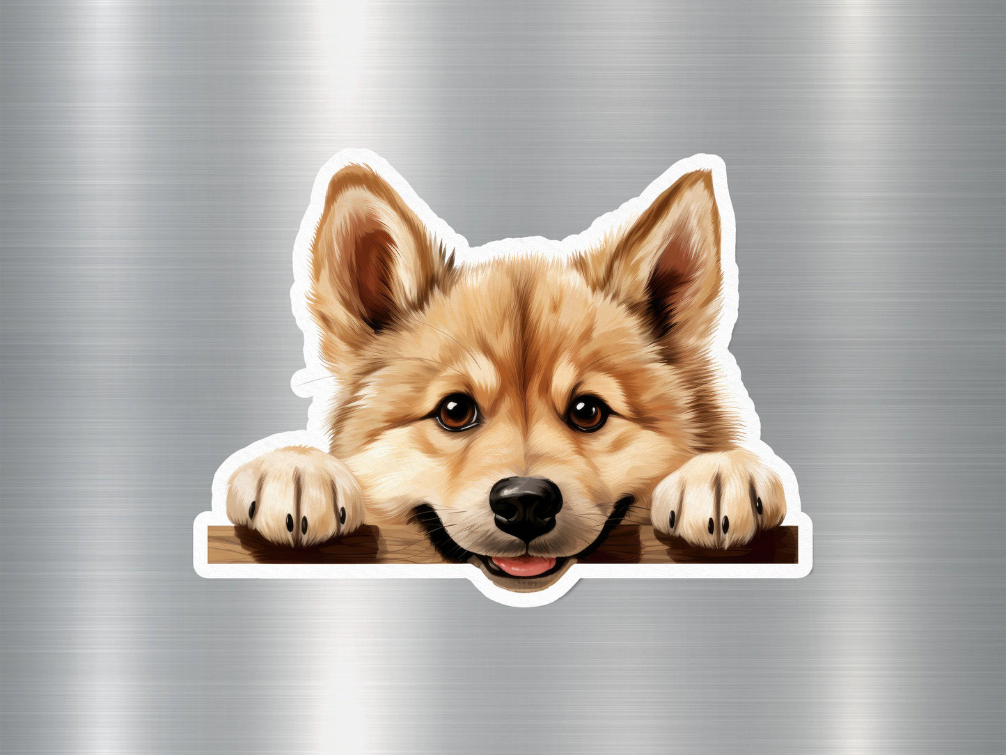 Alaskan Klee Kai Dog Sticker