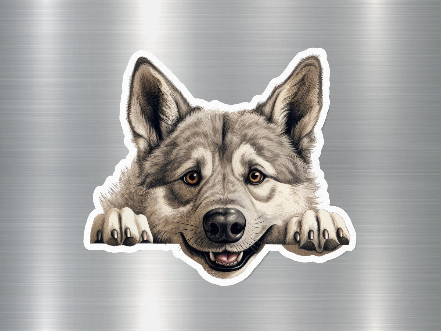 Klee Kai Curiosity Dog Sticker