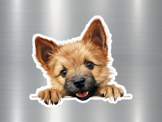 Cairn Curiosity Dog Sticker