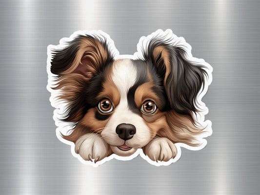 Papillon Peek Dog Sticker