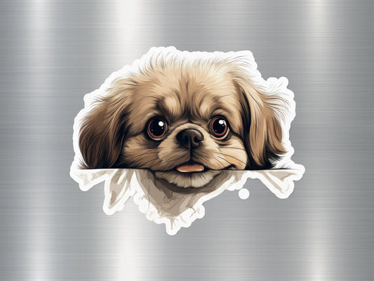 Pekingese Peek Dog Sticker