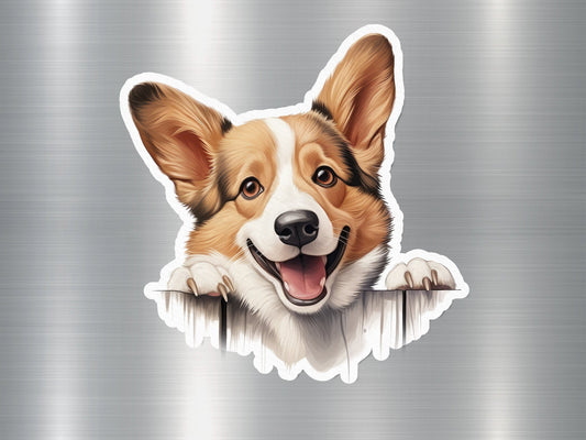 Corgi Curiosity Dog Sticker