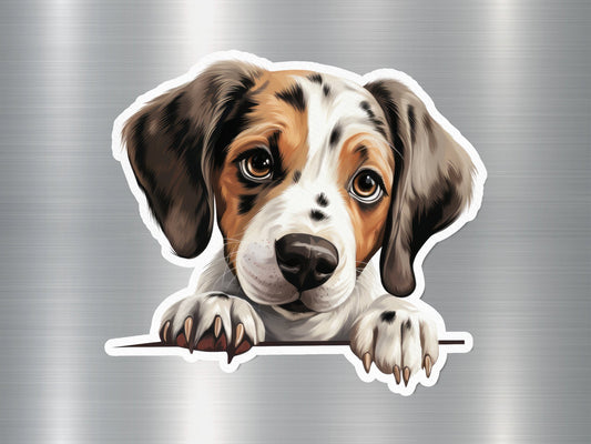 Wiener Dog Wonder Sticker