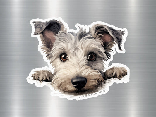 Metal Tin Sign Pumi Dog Sticker