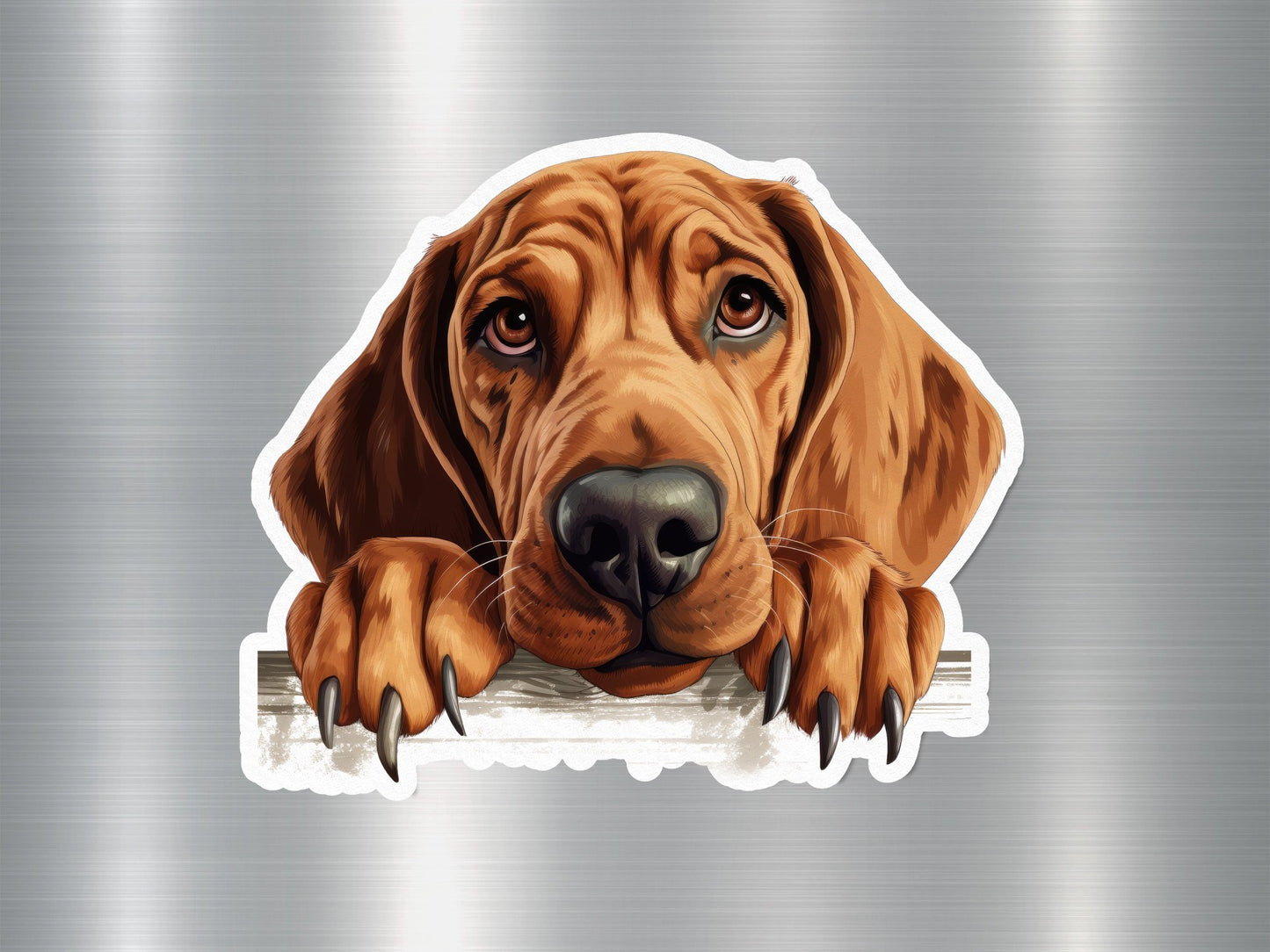 Redbone Coonhound Dog Sticker