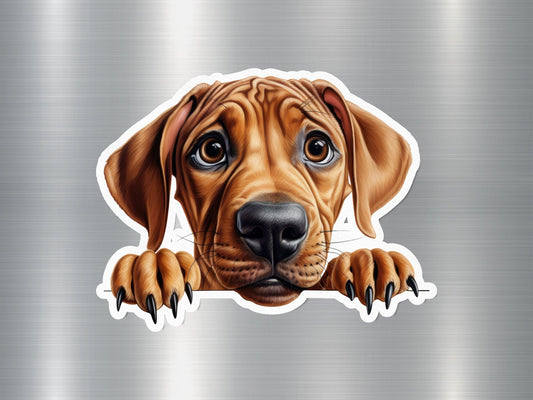 Rhodesian Ridgeback Dog Sticker