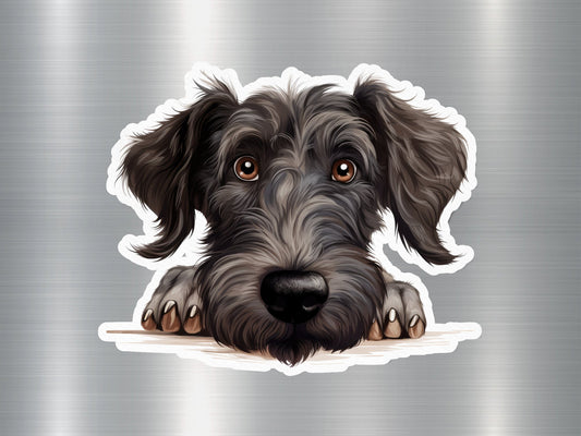 Shaggy Surprise Dog Sticker