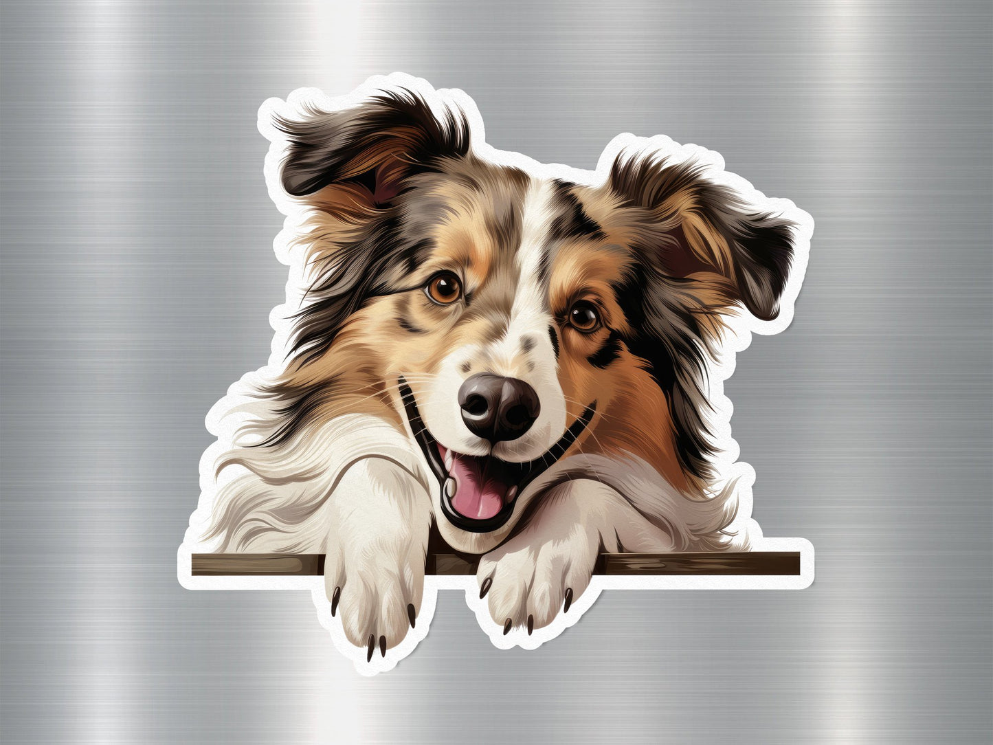 Border Collie Peek Dog Sticker