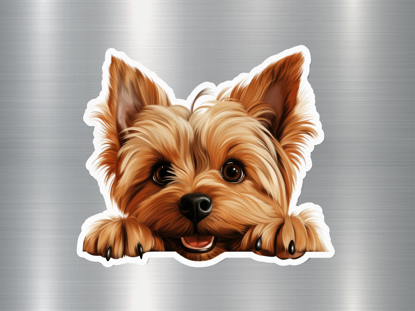 Yorkshire Terrier Peeking Over Dog Sticker