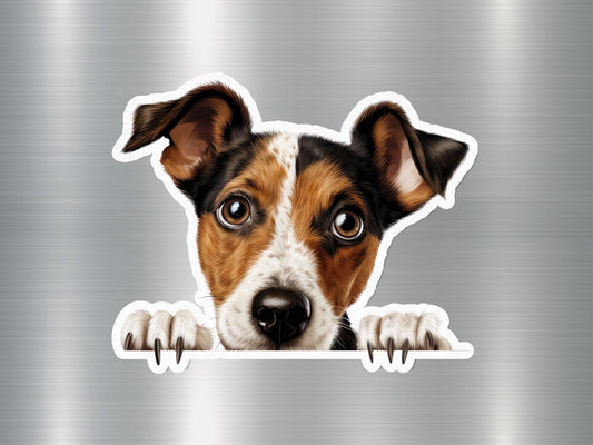 Jack Russell Peek Dog Sticker