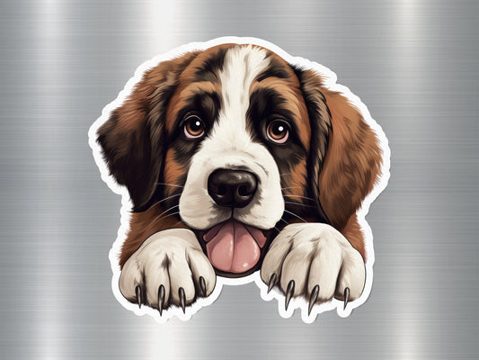 Saint Bernard Peek Dog Sticker