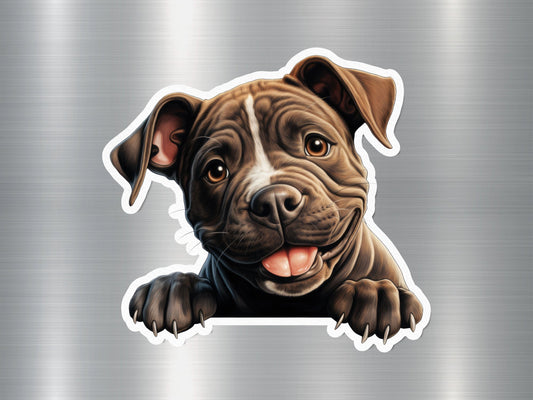 Pit Bull Peek Dog Sticker