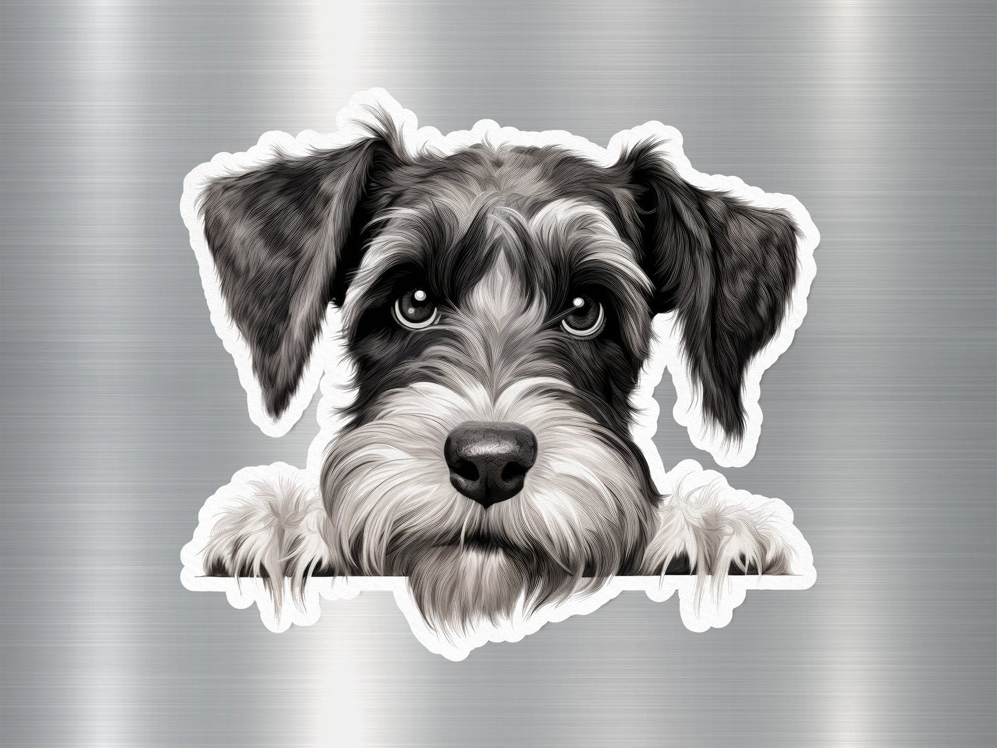 Miniature Schnauzer Peeking Dog Sticker