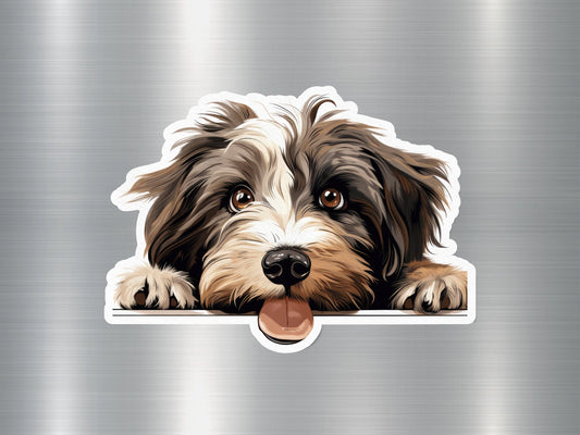 Wholesale Tibetan Terrier Peek Dog Sticker