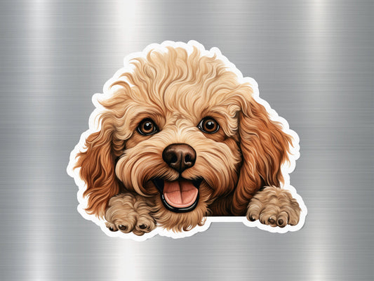 Wholesale Poodle Peek Dog Sticker