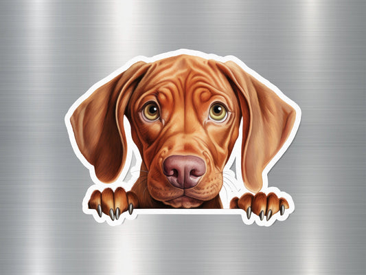 Wholesale Vizsla Peek Dog Sticker