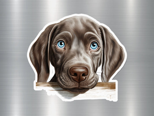 Wholesale Weimaraner Peek Dog Sticker