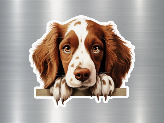 Welsh Springer Spaniel Dog Sticker