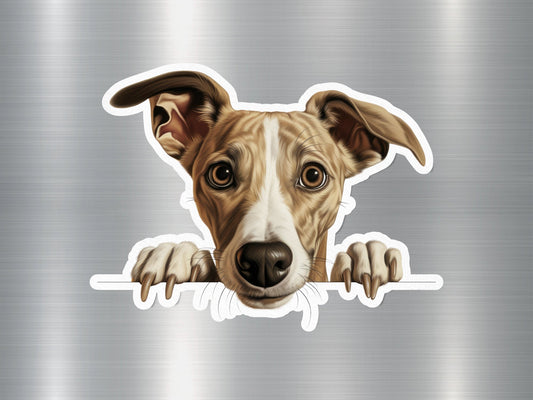 Wholesale Whippet Peek Dog Sticker