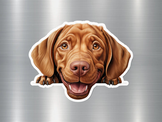 Wholesale Happy Vizsla Dog Sticker