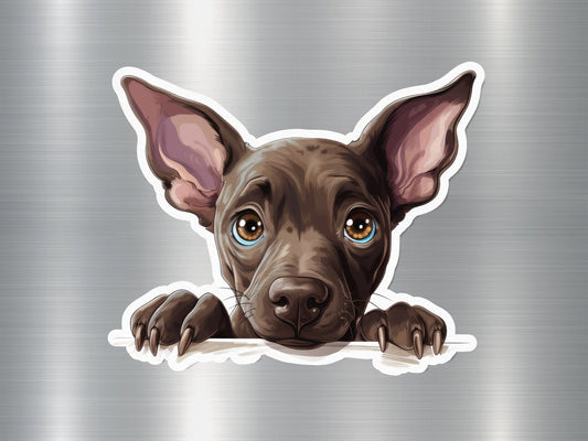 Wholesale Chihuahua Peek Dog Sticker