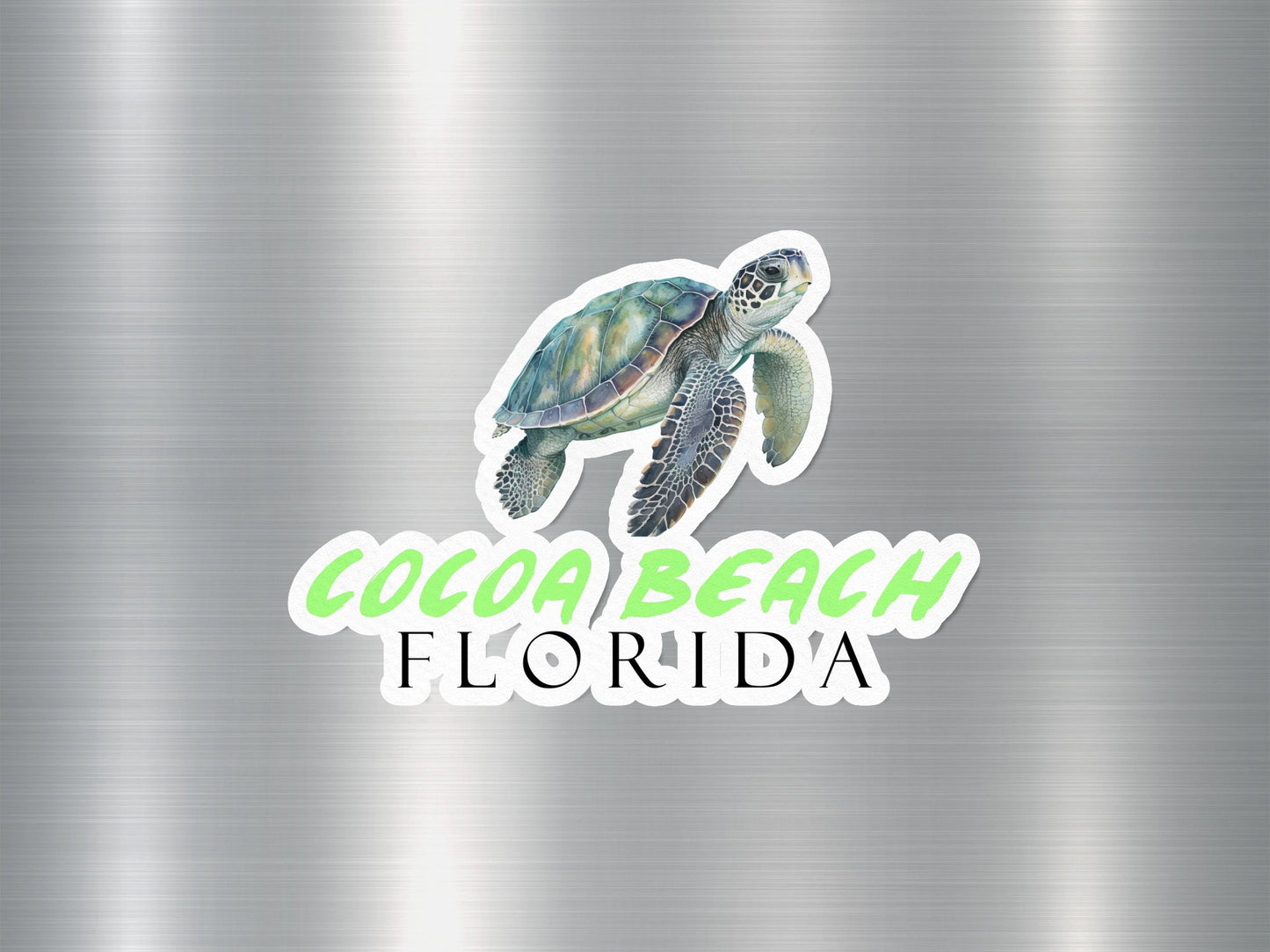 Cocoa Beach Florida Turtle Sticker