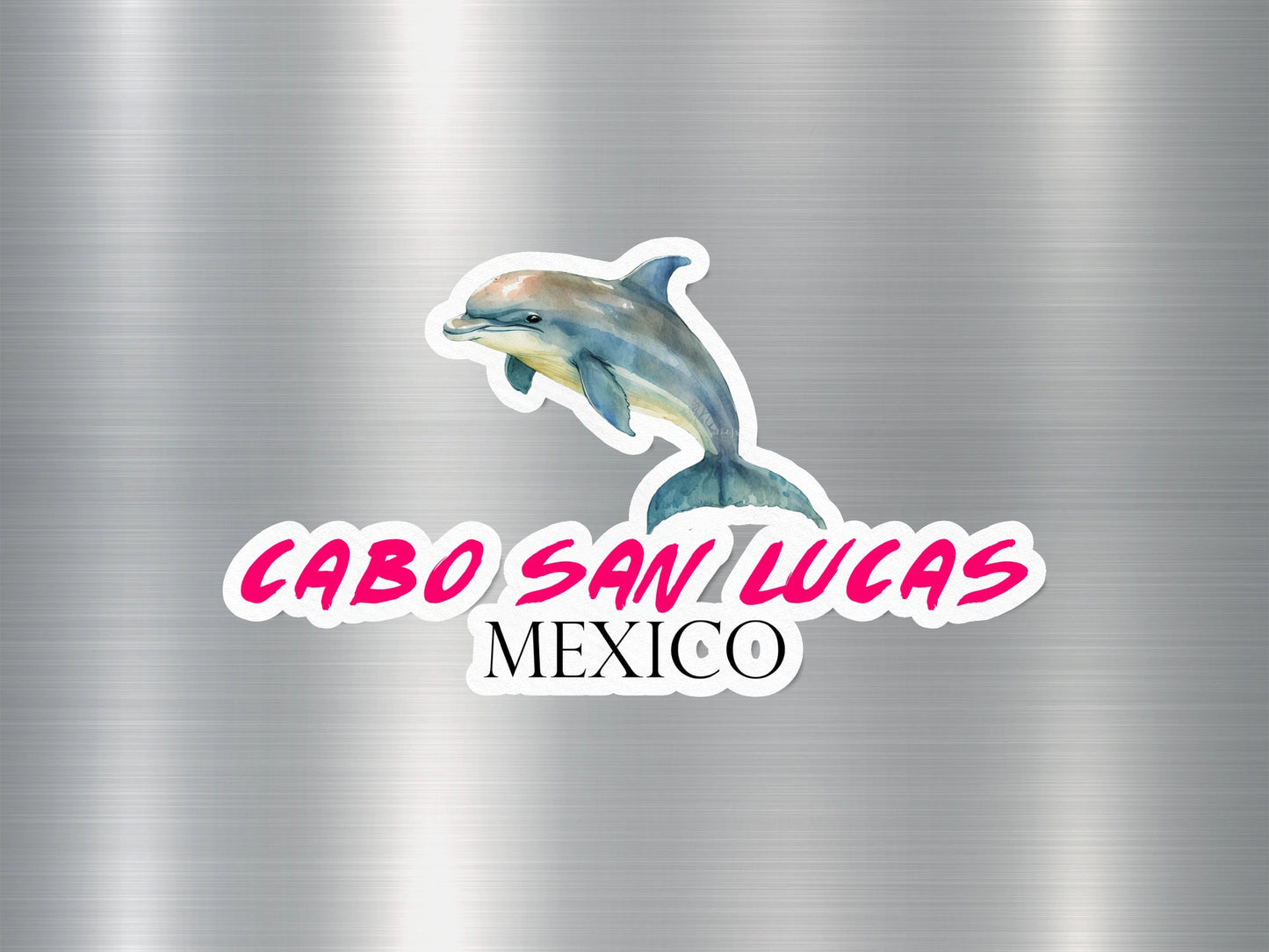 Cabo San Lucas Mexico Dolphin Sticker