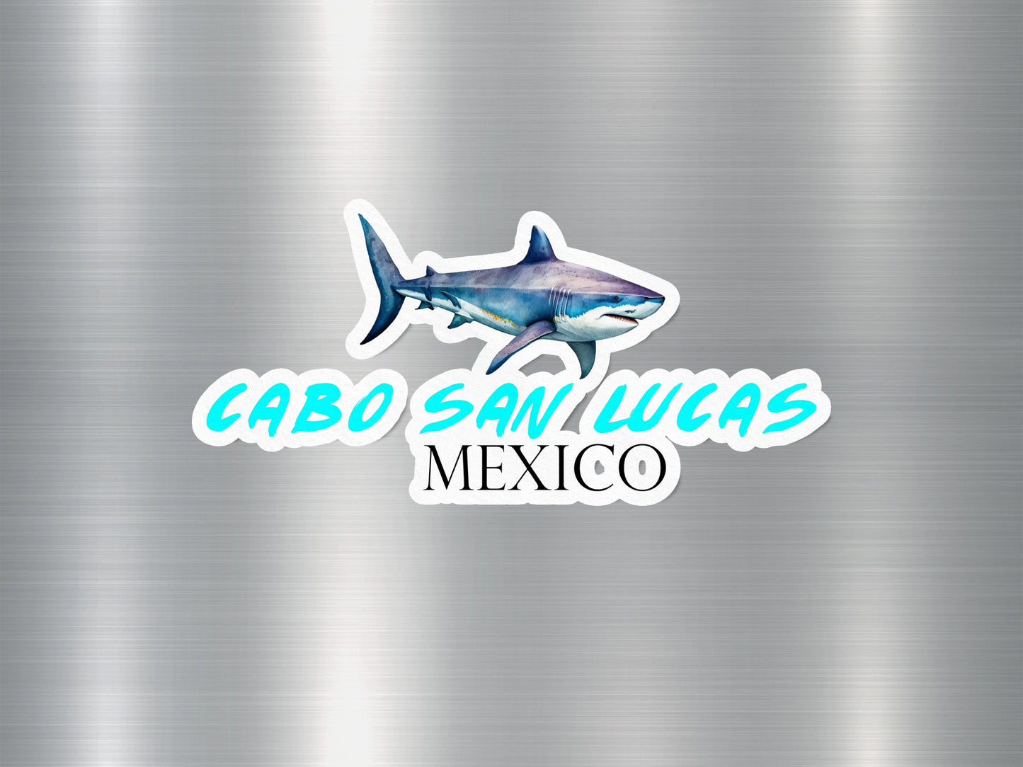 Cabo San Lucas Mexico Shark Sticker