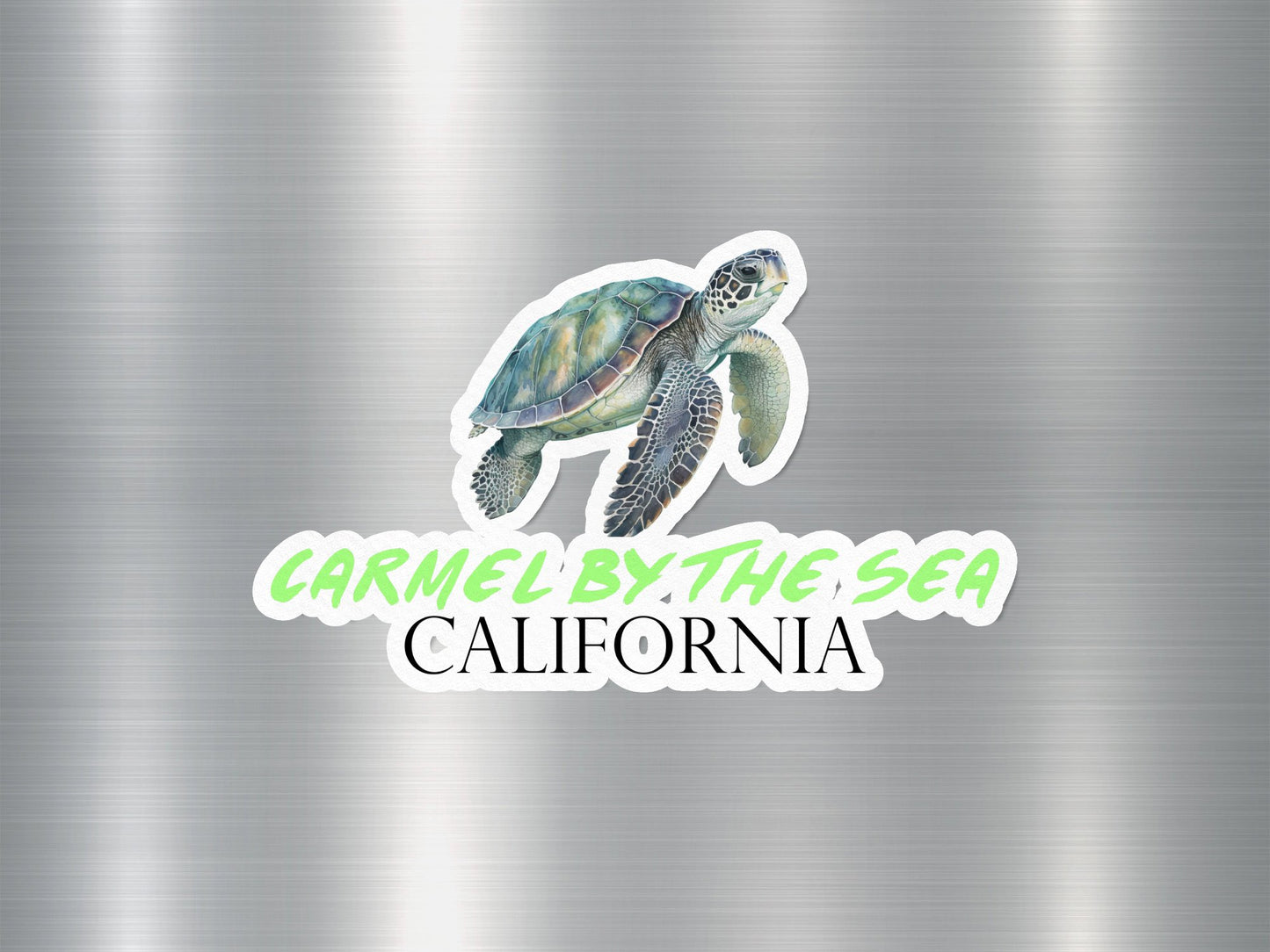Wholesale Carmel By The Sea California Turtle Sticker