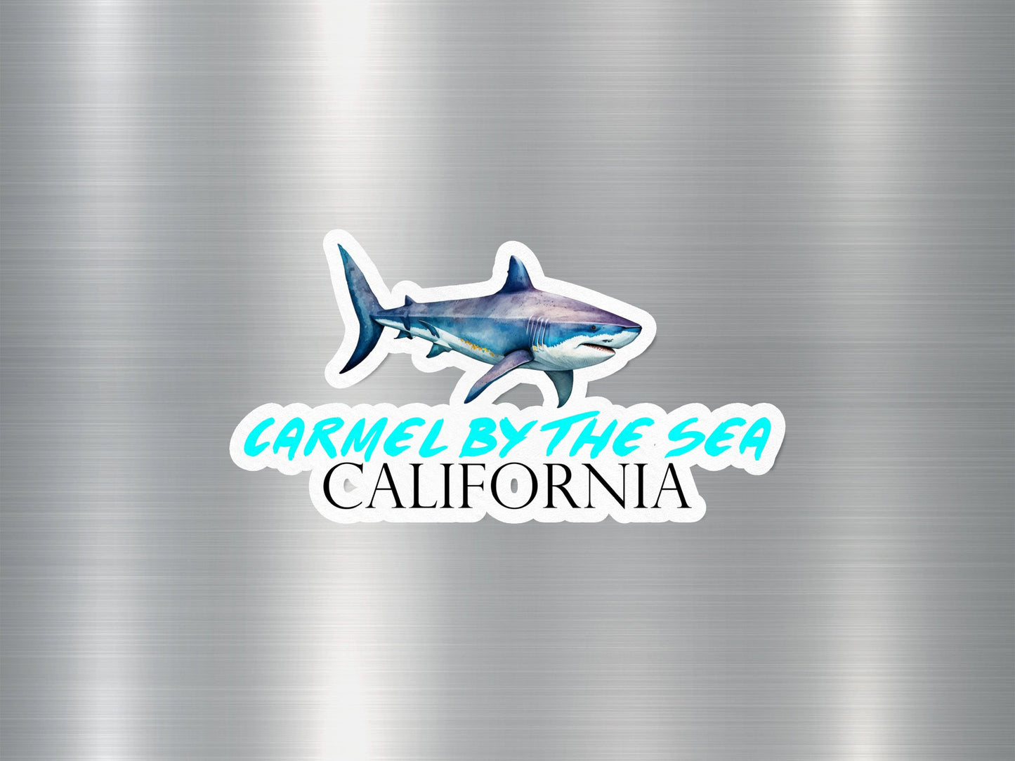 Carmel By The Sea California Shark Sticker