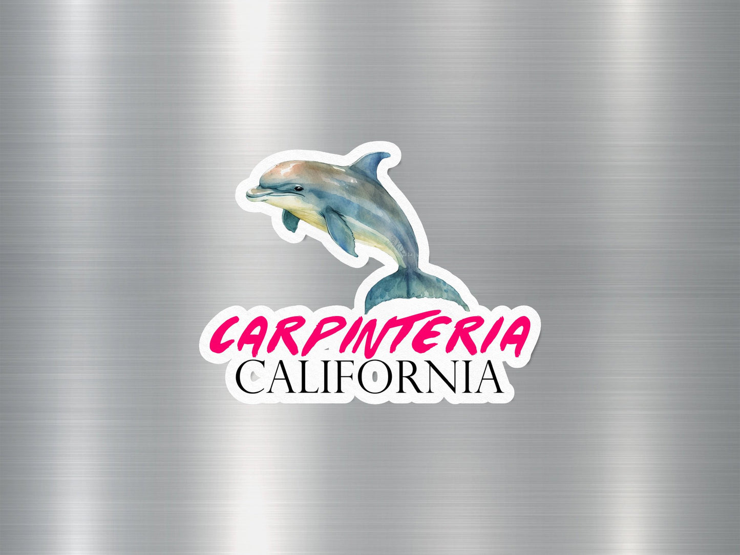 Carpentaria California Dolphin Sticker