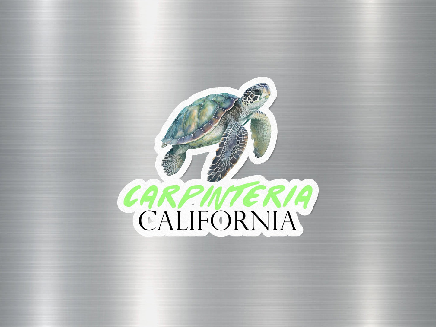 Wholesale Carpentaria California Turtle Sticker