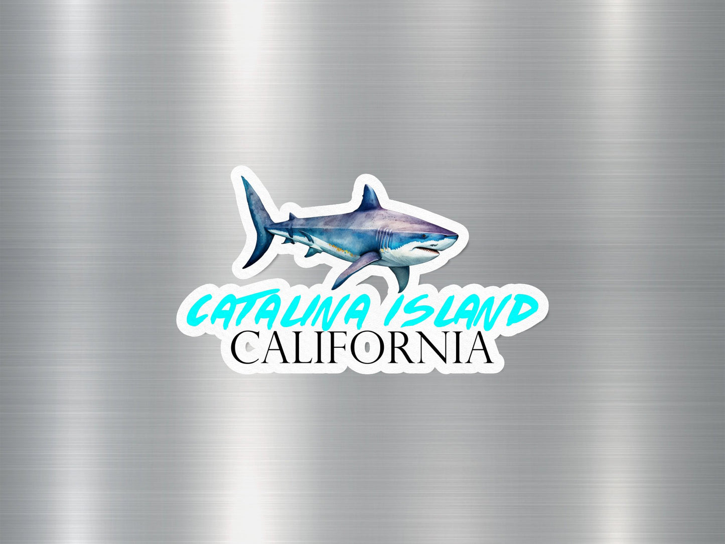 Catalina Island California Shark Sticker