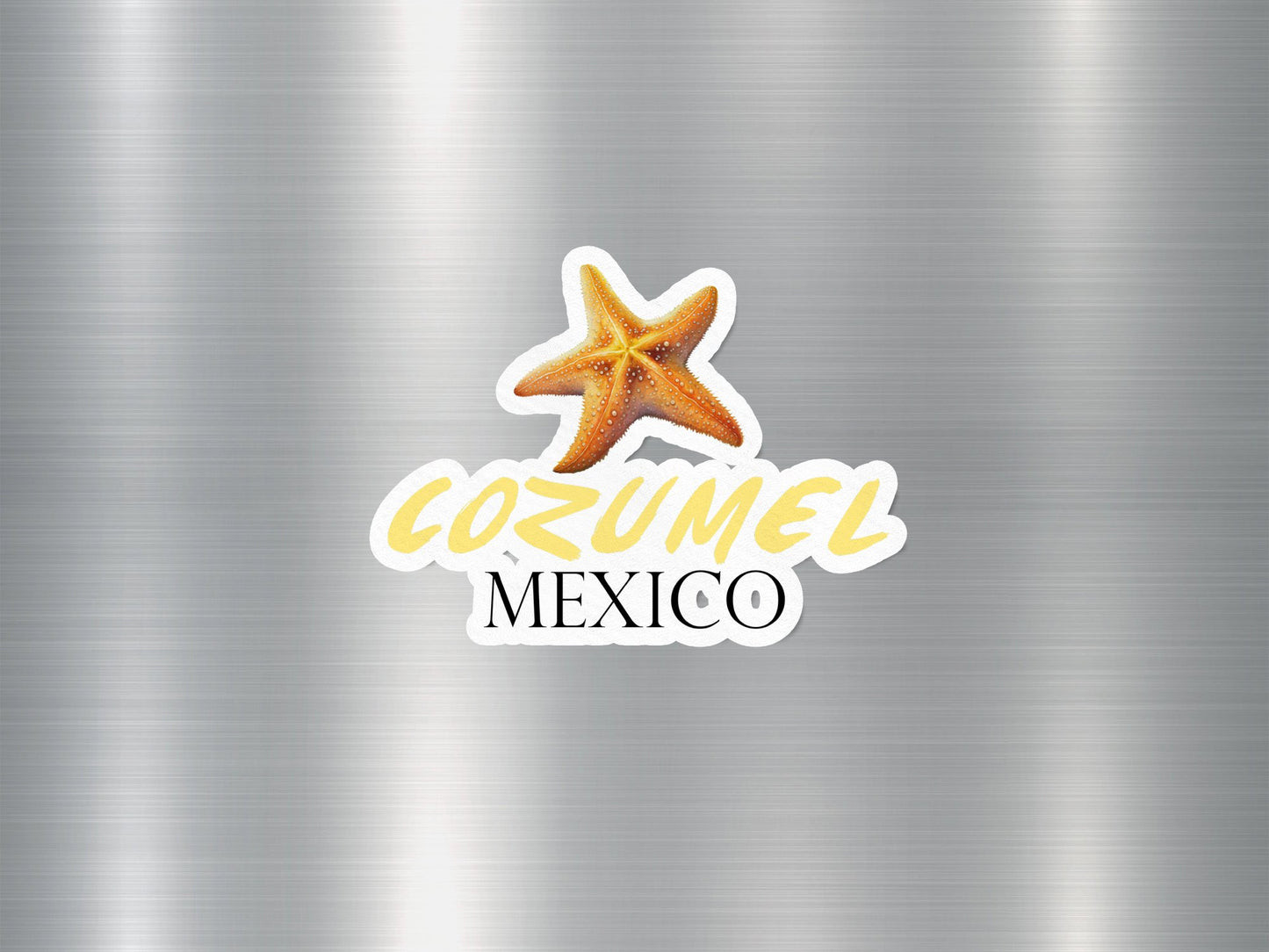 Wholesale Cozumel Mexico Starfish Sticker