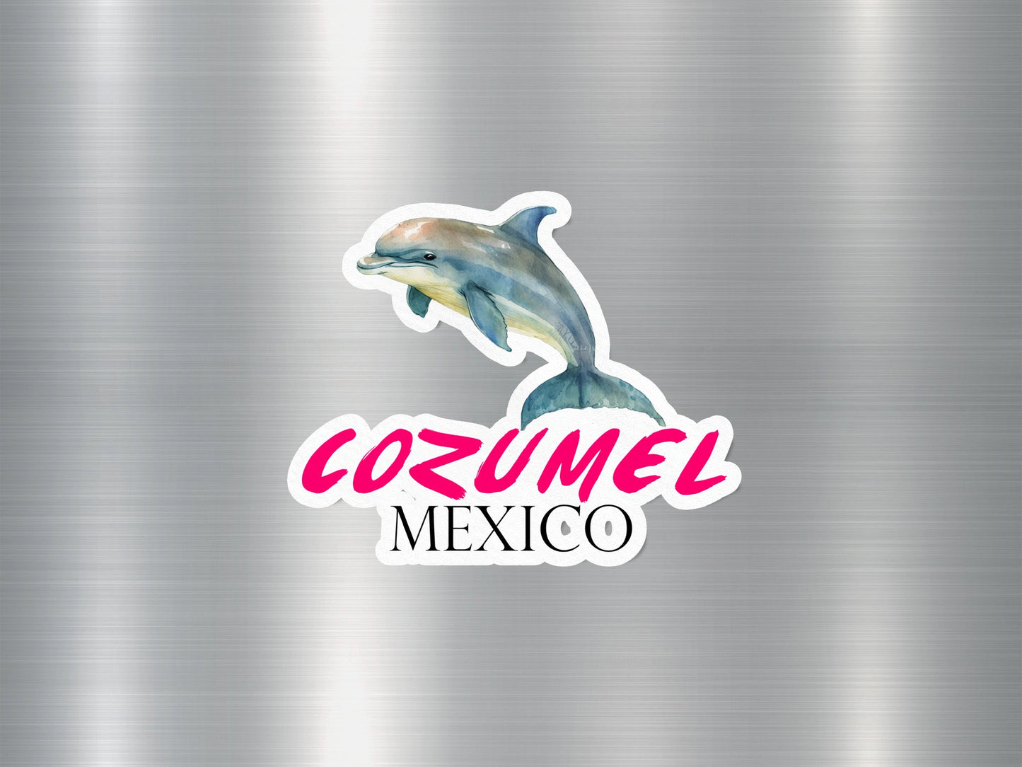 Cozumel Mexico Dolphin Sticker