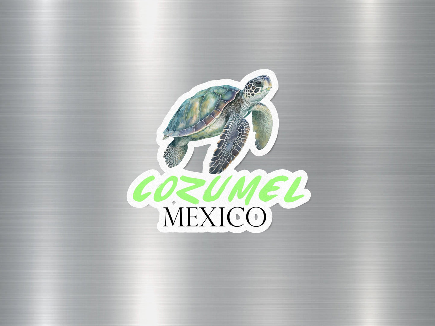 Cozumel Mexico Turtle Sticker