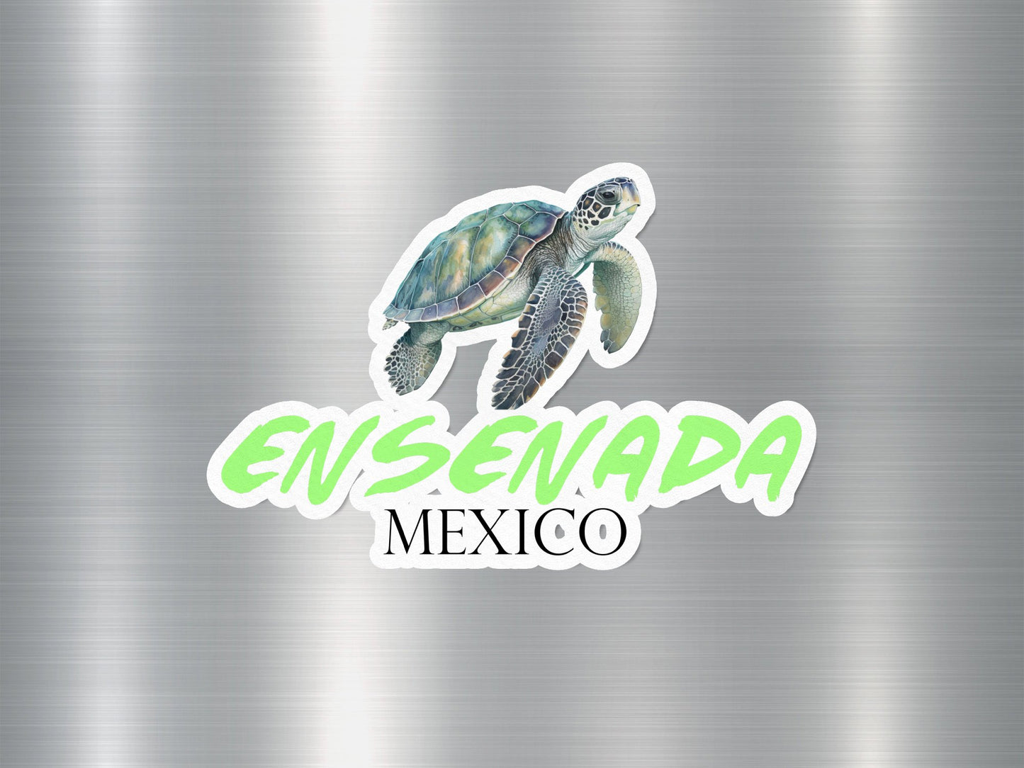 Ensenada Mexico Turtle Sticker