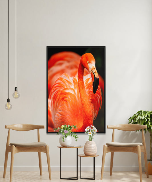 Flamingo Birds Animal Poster - Matte Paper