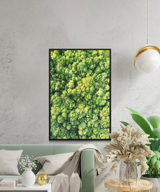 Forest Tree Top View Poster - Matte Paper